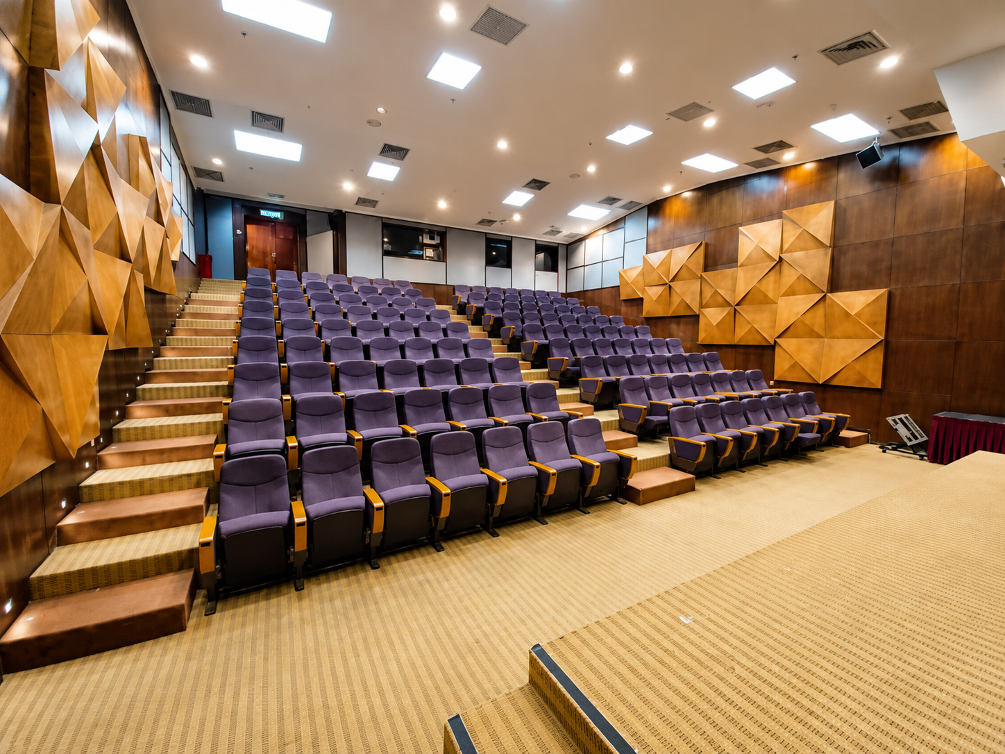 Theatre Room